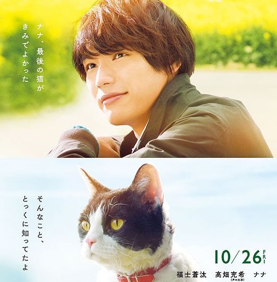 tabineko report.jpg tabineko report.jpg